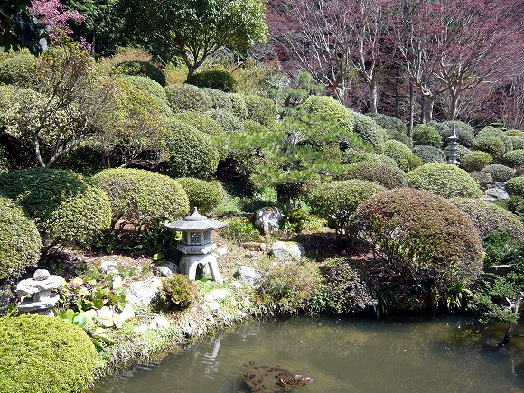 秋山さんのお宅の日本庭園もすごいです｡
