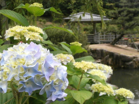 井原リフレッシュ公園の日本庭園