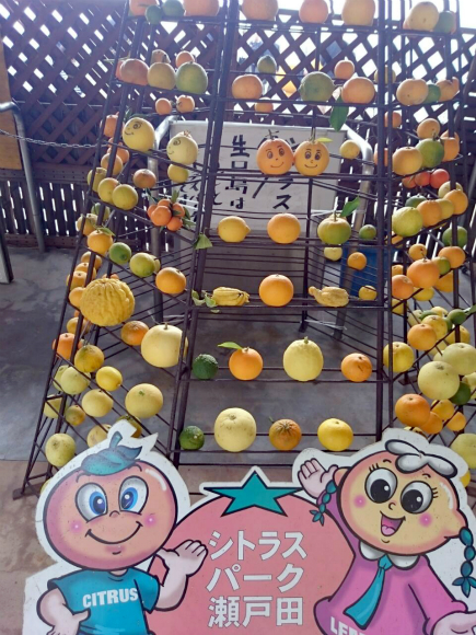 柑橘のモニュメント