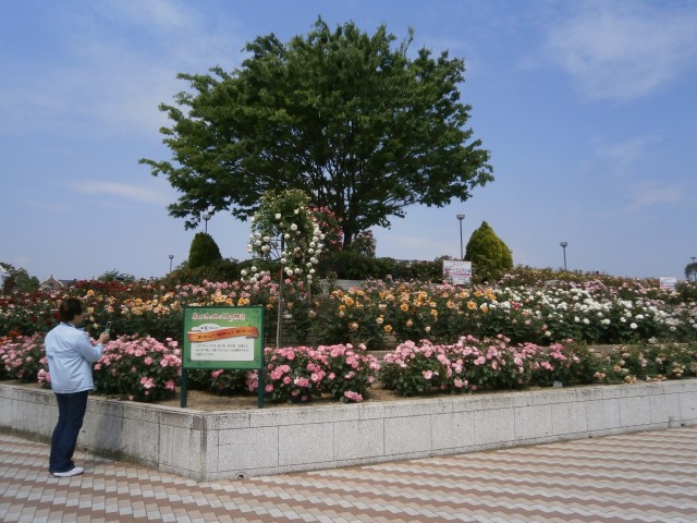福山緑町公園