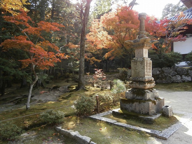 仏殿前の庭
